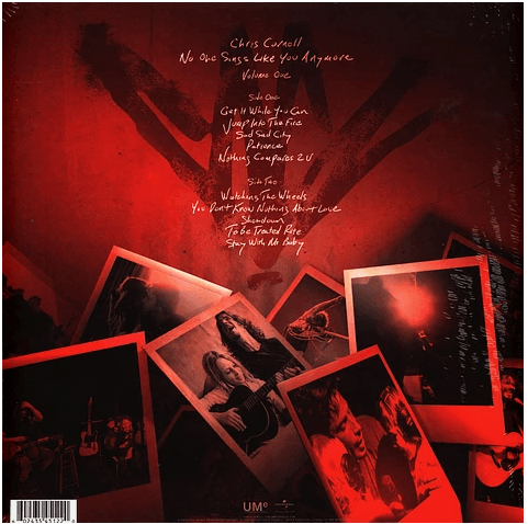 Chris Cornell - No One Sings Like You Anymore - Beatsommelier