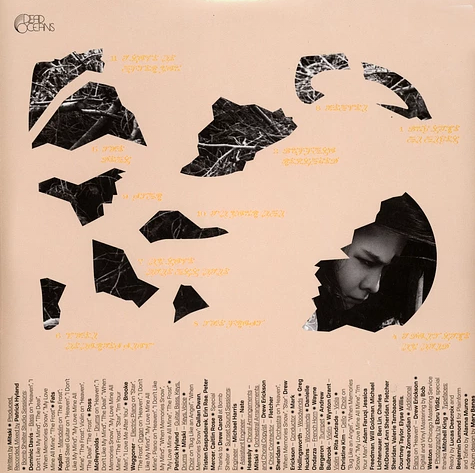 The Land is Inhospitable and so Are We (Black Vinyl Edition) - Mitski