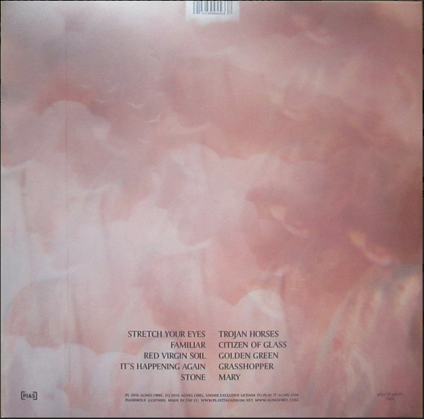 Citizen Of Glass- Agnes Obel