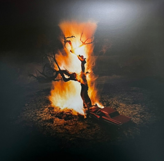 Violet Drive- Kerala Dust (Limited Edition Gold)