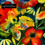 Songs & Instrumentals - Adrianne Lenker