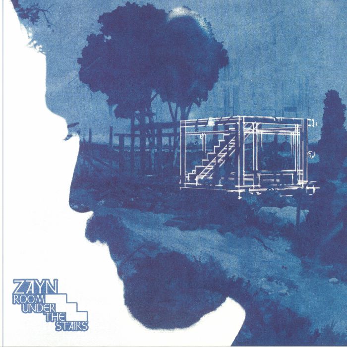 Room Under the Stairs (Renkli Plak) - Zayn