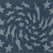 Hole Erth (Limited Bio Vinyl) - Toro Y Moi