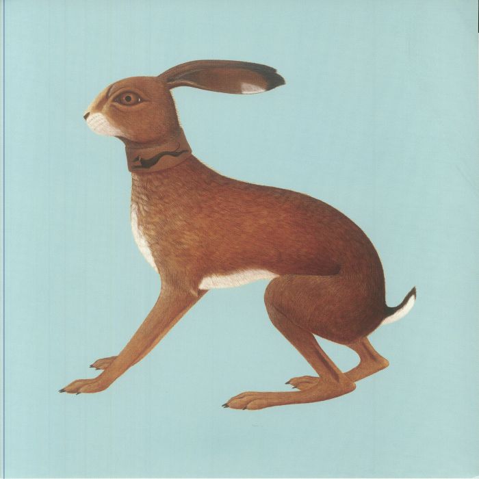 Lookaftering (20th Anniversary Edition) - Vashti Bunyan