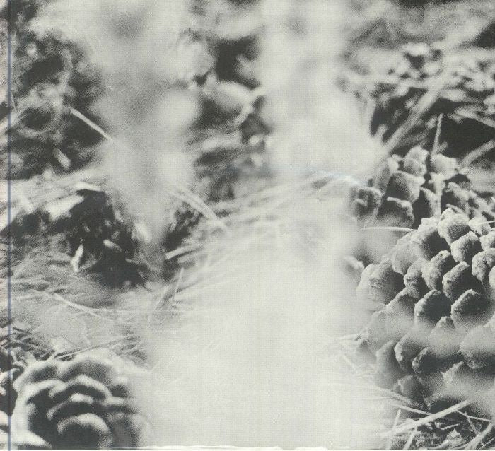 Certain Path - Zake / from Overseas / City of Dawn (CD)