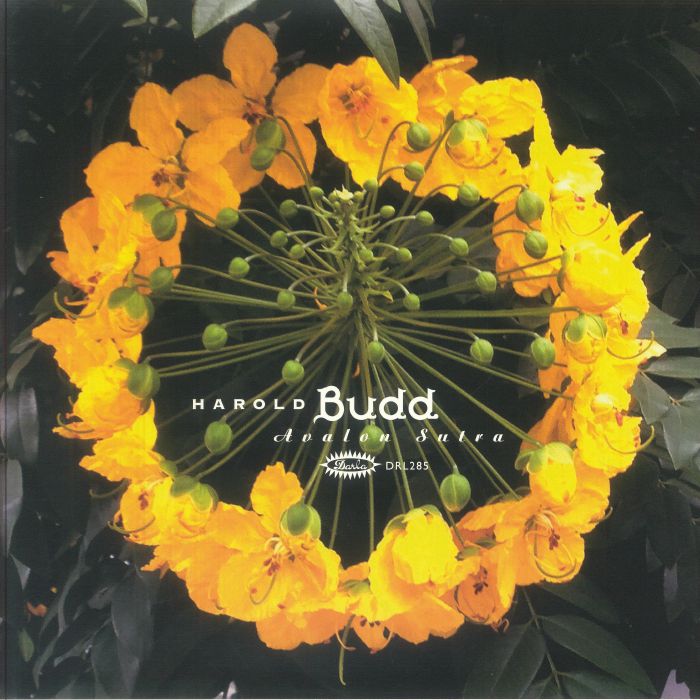 Avalon Sutra - Harold Budd