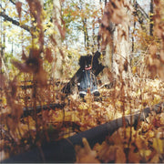 Golliwog - Billy Woods