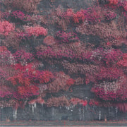 Even in Arcadia ('Hint Of Blue' Vinyl) (Poster Hediyeli) - Sleep Token