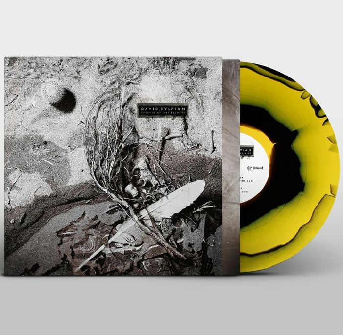 Secrets of the Beehive (Reissue) (Renkli Plak) - David Sylvian