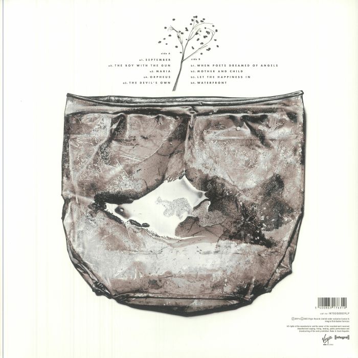 Secrets of the Beehive (Reissue) (Renkli Plak) - David Sylvian