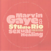 Sexual Healing - Marvin Gaye / Studio Rio