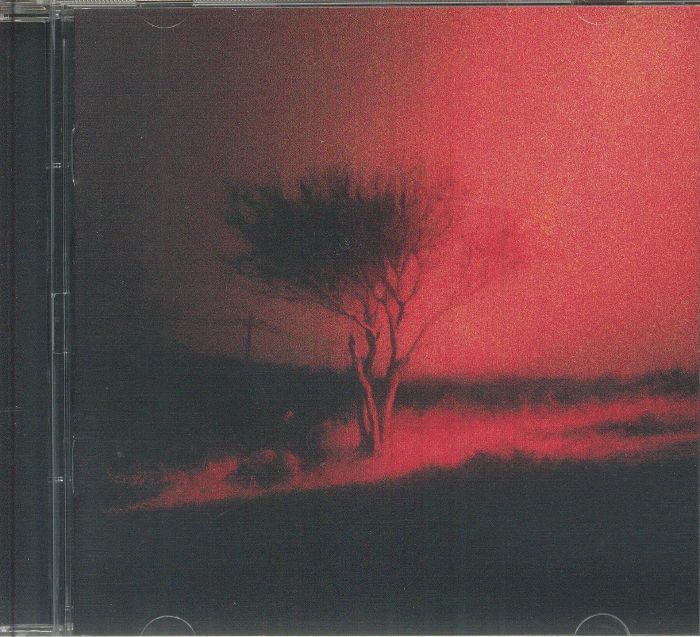 Piss in the Wind - Joji (CD)