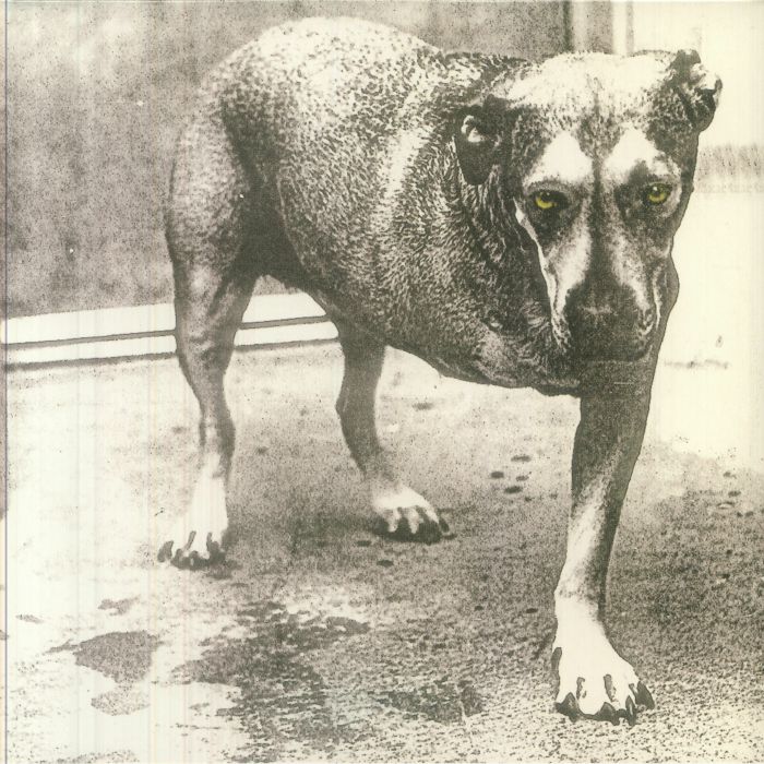 Alice in Chains (30th Anniversary "Highlighter" Yellow Vinyl Edition) - Alice in Chains