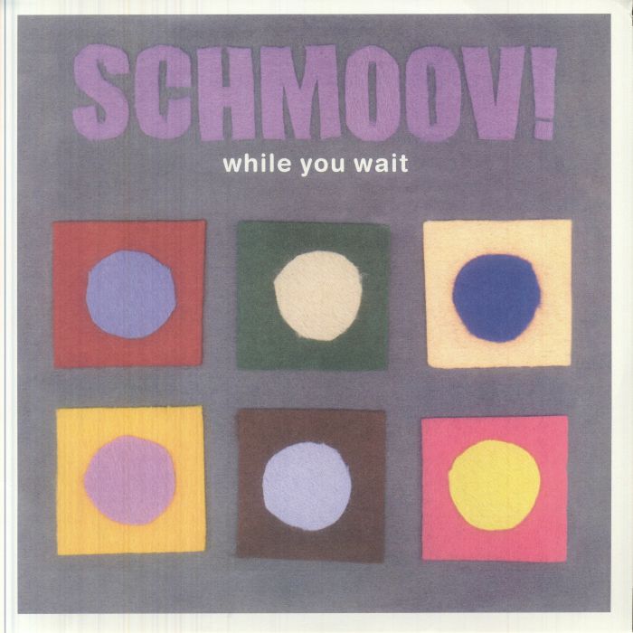 While You Wait (25th Anniversary Edition) (Record Store Day Rsd 2026) - Schmoov!