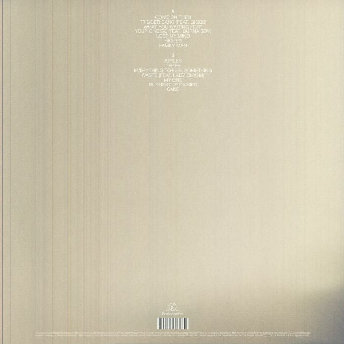 No Shame (Reissue) (Crystal Clear Vinyl) - Lily Allen