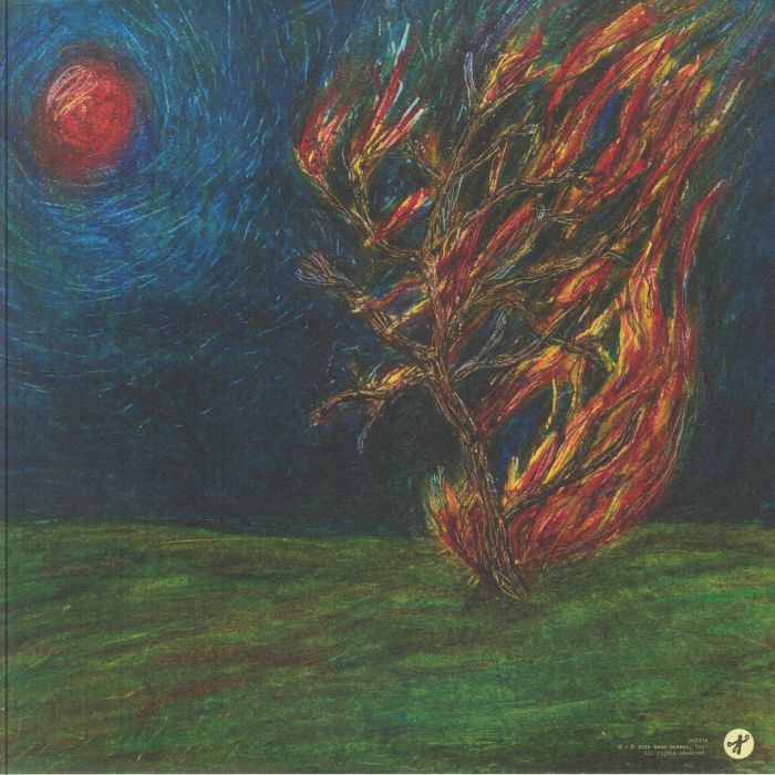 Beauty Land (Limited Crystal Clear Vinyl) - Greg Mendez