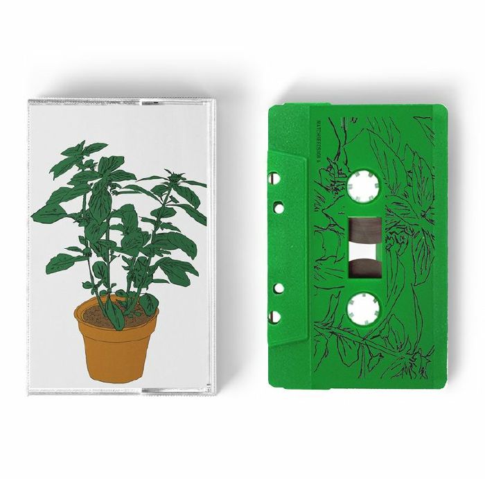 Basil: Music to Watch Seeds Grow by 008 - Salamanda (Kaset)