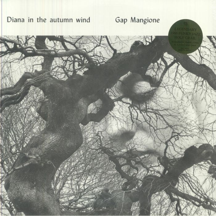 Diana in the Autumn Wind - Gap Mangione