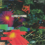 Leev Ur Mynd - Mr Fingers