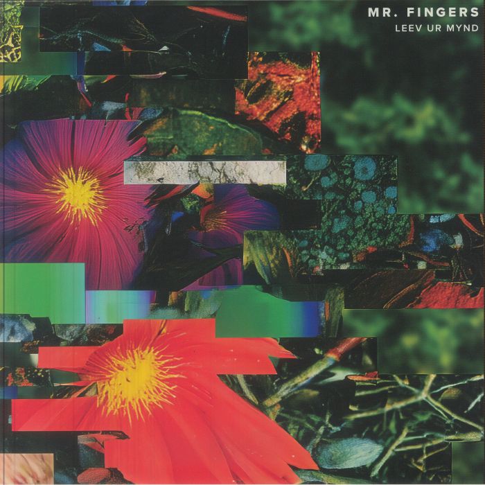 Leev Ur Mynd - Mr Fingers