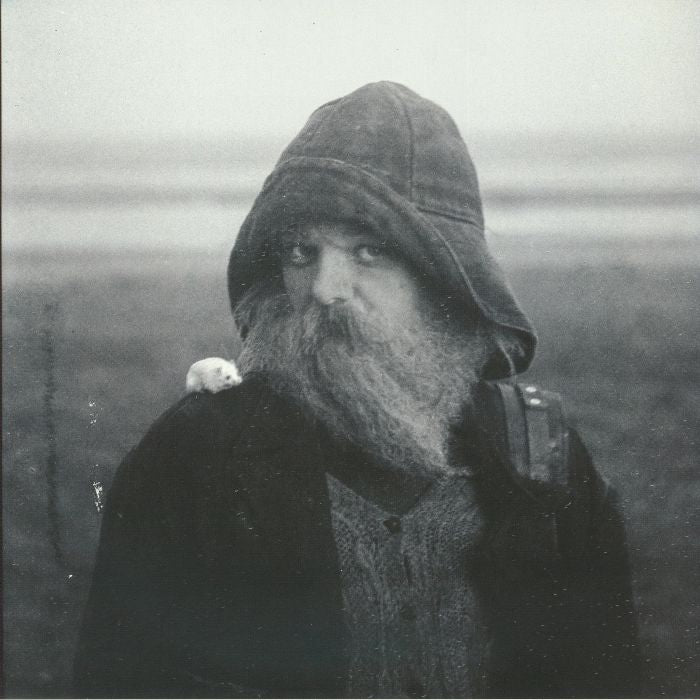 Role Model Hermit (Clear Vinyl) (Poster Hediyeli) - Mary in the Junkyard