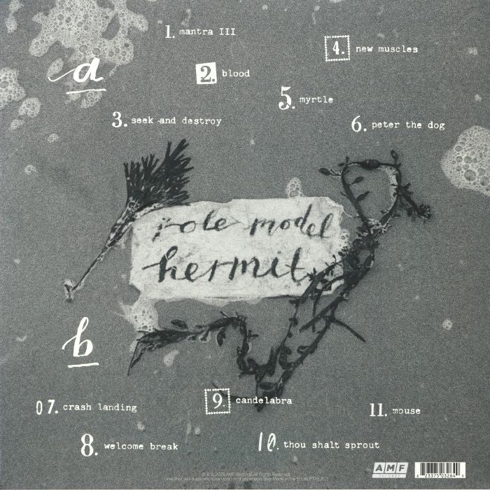 Role Model Hermit (Clear Vinyl) (Poster Hediyeli) - Mary in the Junkyard