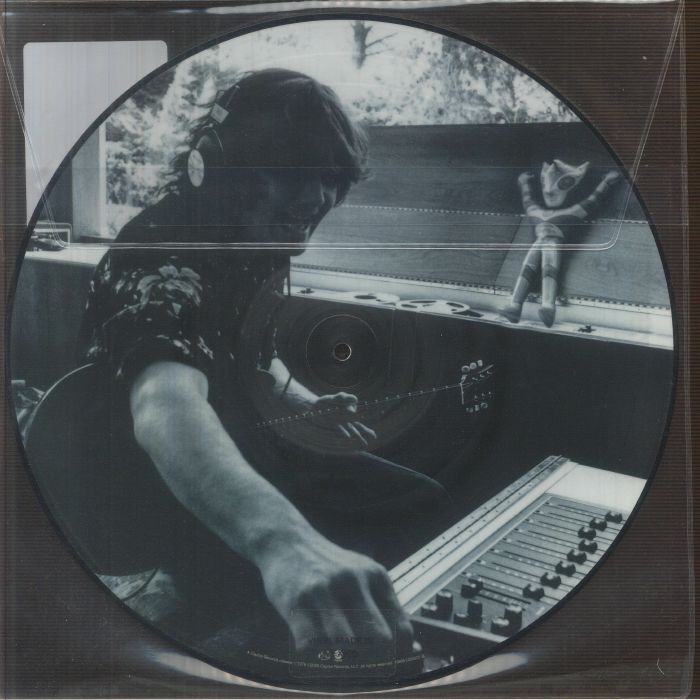 Fly Like an Eagle (50th Anniversary Edition) (Picture Disc) - Steve Miller Band
