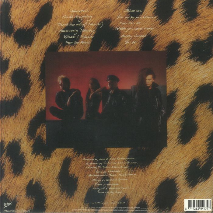 Sophisticated Boom Boom (Renkli Plak) - Dead or Alive