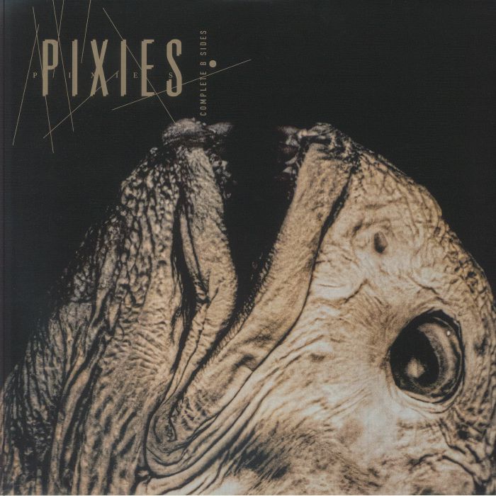 Complete B Sides: 1988-97 (25th Anniversary Edition) - Pixies