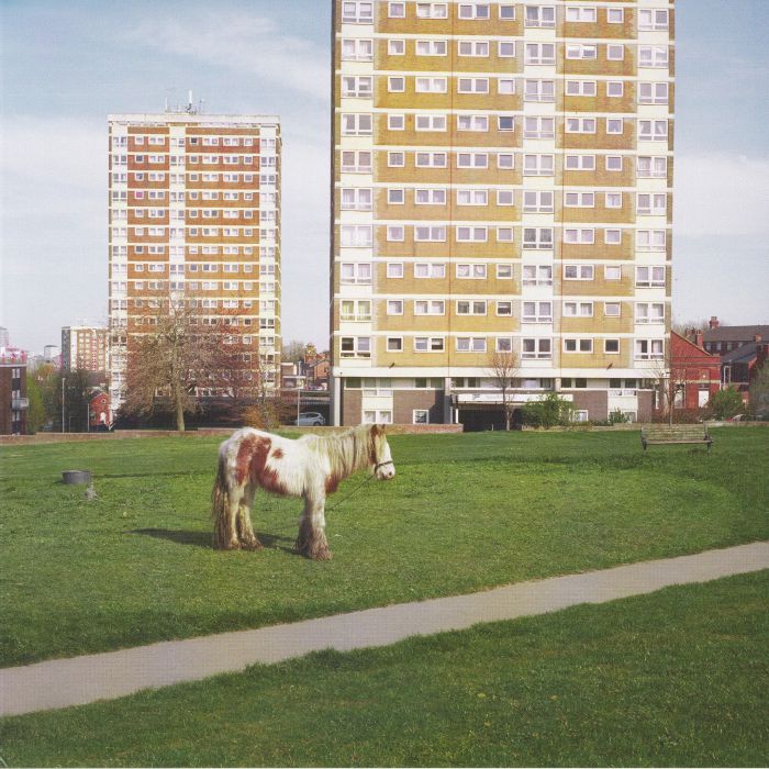 It Goes On - Westside Cowboy