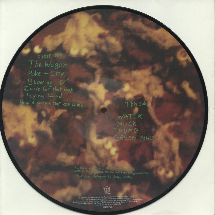 Green Mind (35th Anniversary Edition) (Picture Disc) - Dinosaur Jr