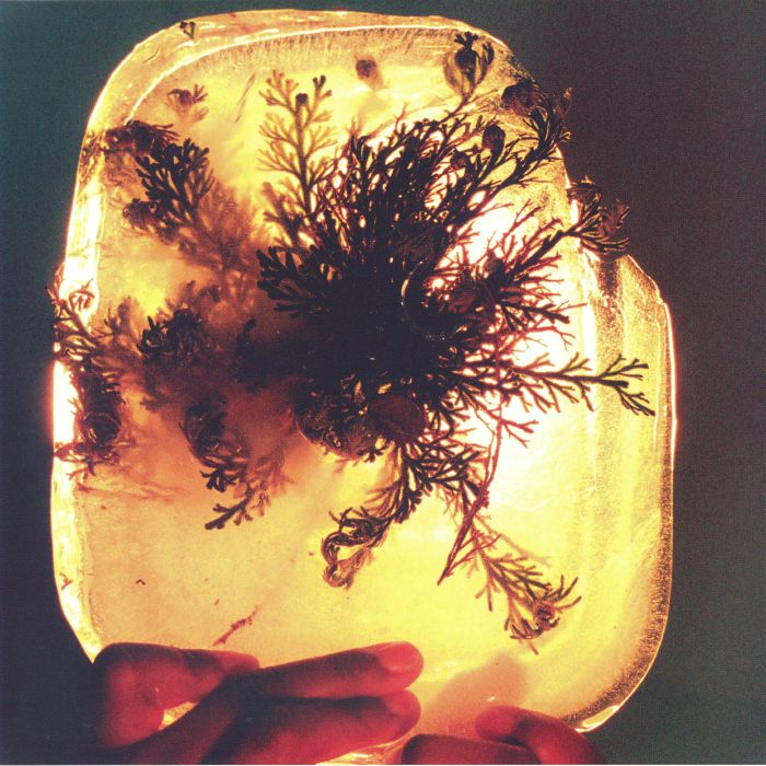 Fata Morgana - L'Rain