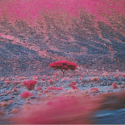 Kairos - O'Flynn