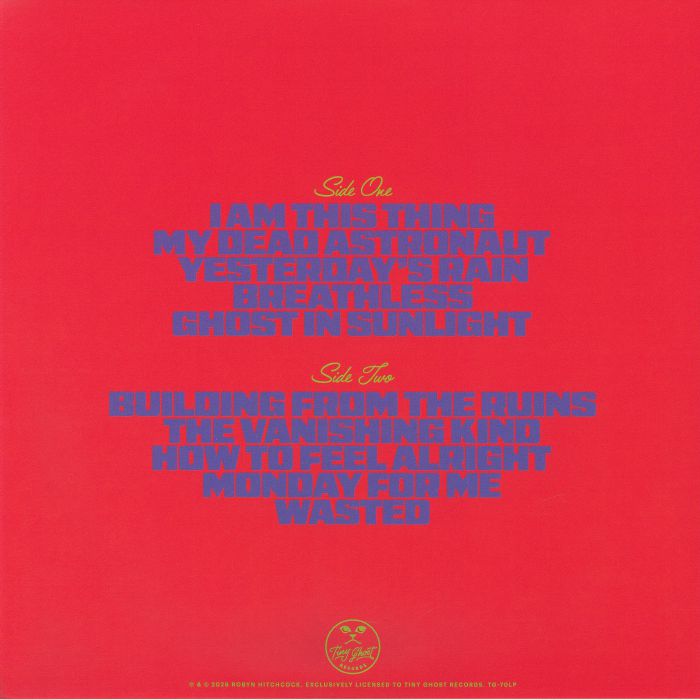The Confuser - Robyn Hitchcock
