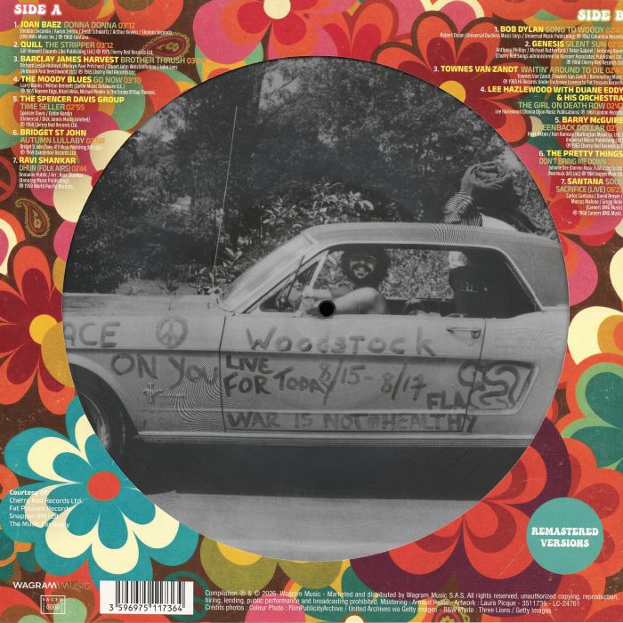 Woodstock Experience (Picture Disc) - Various