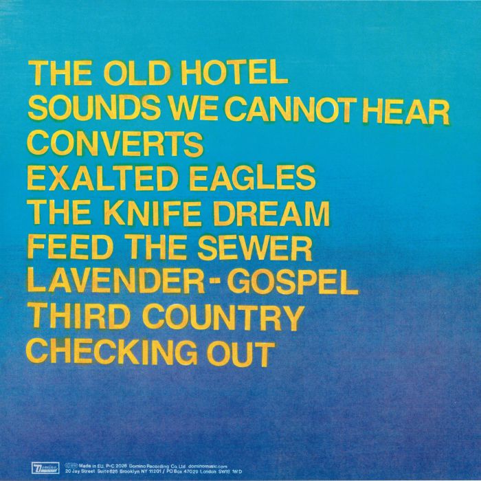 Hotel Usona (Poster Hediyeli) - Protomartyr