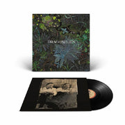 Dragonflies - Dragonflies