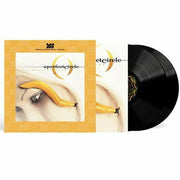 Thirteenth Step - A Perfect Circle