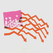 Zirp! (Poster Hediyeli) - Diiv