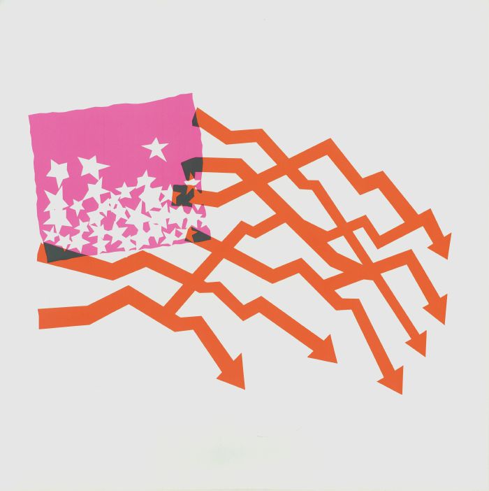 Zirp! (Poster Hediyeli) - Diiv