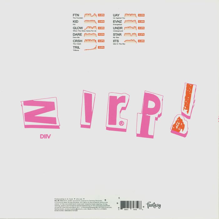 Zirp! (Poster Hediyeli) - Diiv