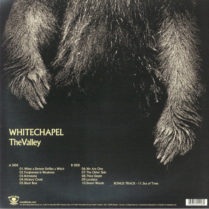 The Valley (Renkli Plak) (Poster Hediyeli) - Whitechapel