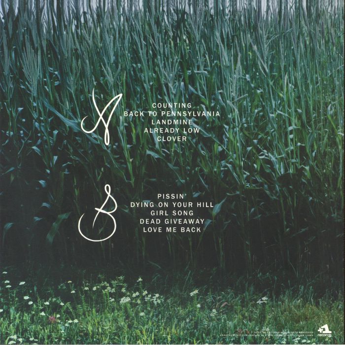 Back to Pennsylvania ('Coke Bottle' Clear Vinyl) (Poster Hediyeli) - Anna Shoemaker