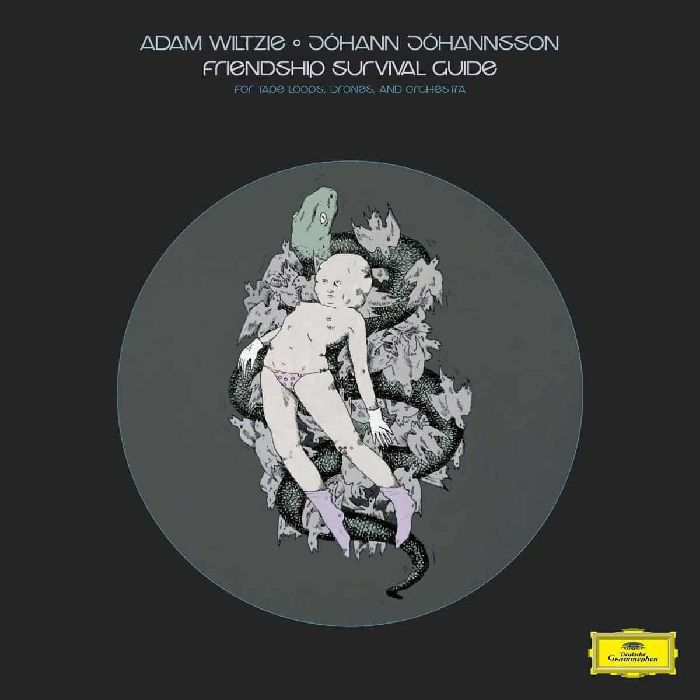 Friendship Survival Guide - Johann Johannsson / Adam Wiltzie