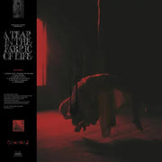 A Tear in the Fabric of Life ('Toffee' Vinyl) - Knocked Loose