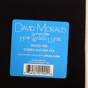 How Would U Feel - David with Lea Lorien Morales (CD)