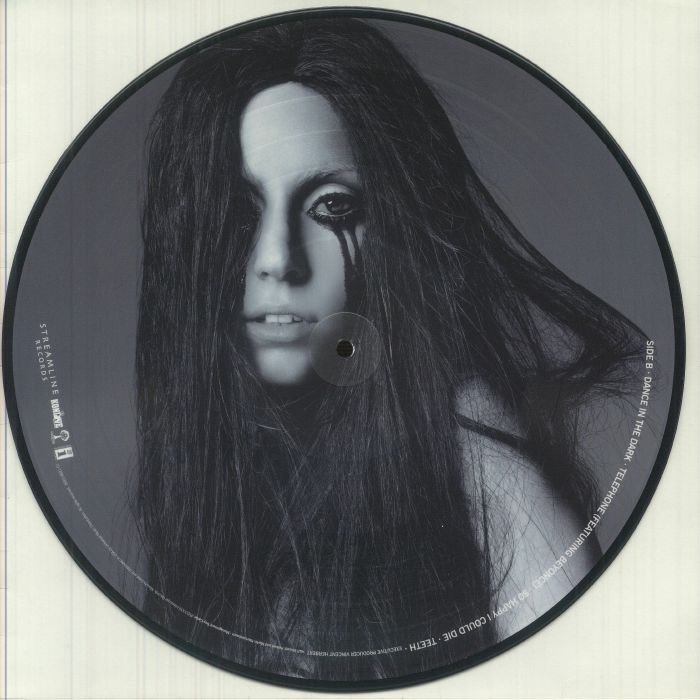 The Fame Monster (Picture Disc) - Lady Gaga