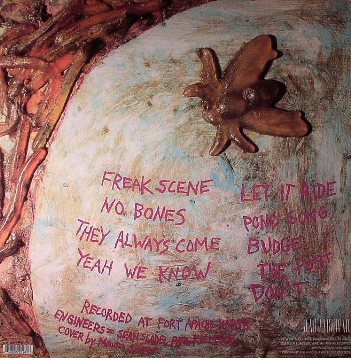 Bug - Dinosaur Jr
