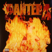 Reinventing the Steel - Pantera
