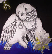 Magnolia Electric Co (10th Anniversary Deluxe Edition) - Songs: Ohia